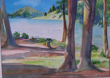 Peggy Neuman's Where the Osprey Dives