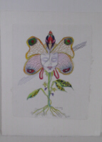 Peggy Neuman's Sweat Pea 